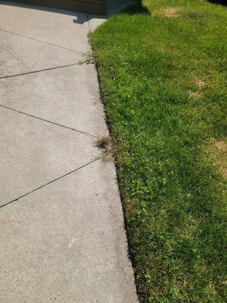 Affordable residential landscaping for outdoor upgrades across Royal Oak, MI - Cut King Lawn Care