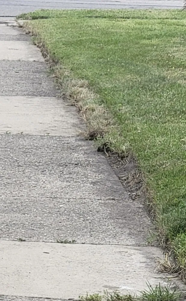 Custom yard maintenance experts serving Royal Oak, MI - Cut King Lawn Care