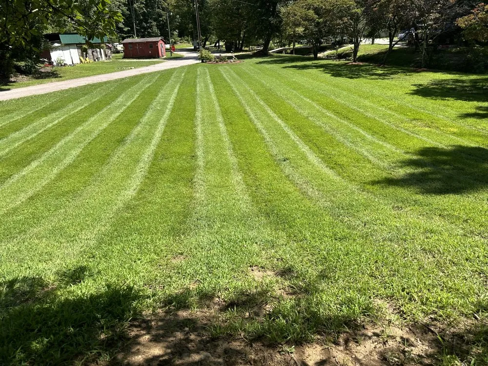 Custom residential landscaping for homes in Walnut Cove, NC by Cut Lawncare