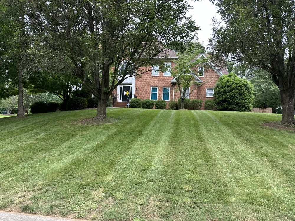 Reliable yard maintenance for beautiful yards across Walnut Cove, NC - Cut Lawncare