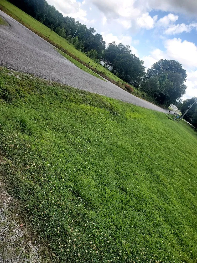 Affordable landscaping services for outdoor upgrades in Hanceville, AL by Cut Lawns 4 You