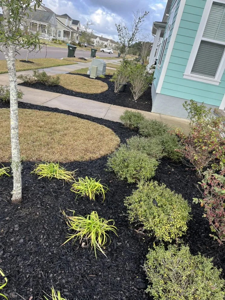 Expert lawn care service experts serving North Charleston, SC - Cut Low For Low