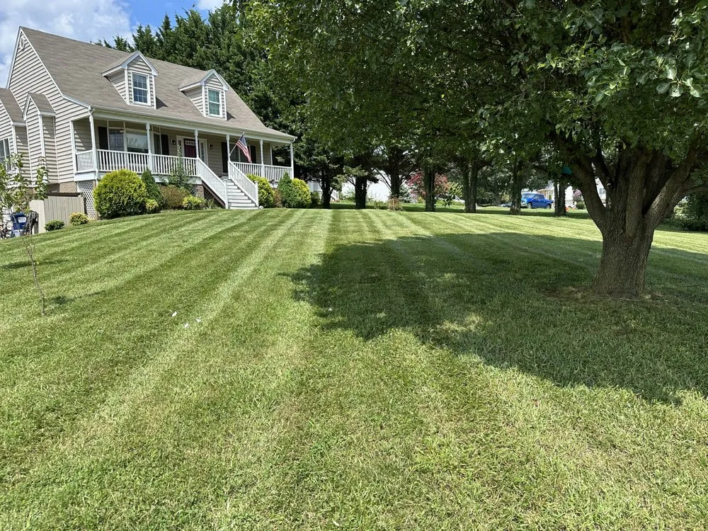 Expert yard cleanup service in Lynchburg, VA by Cut Masters