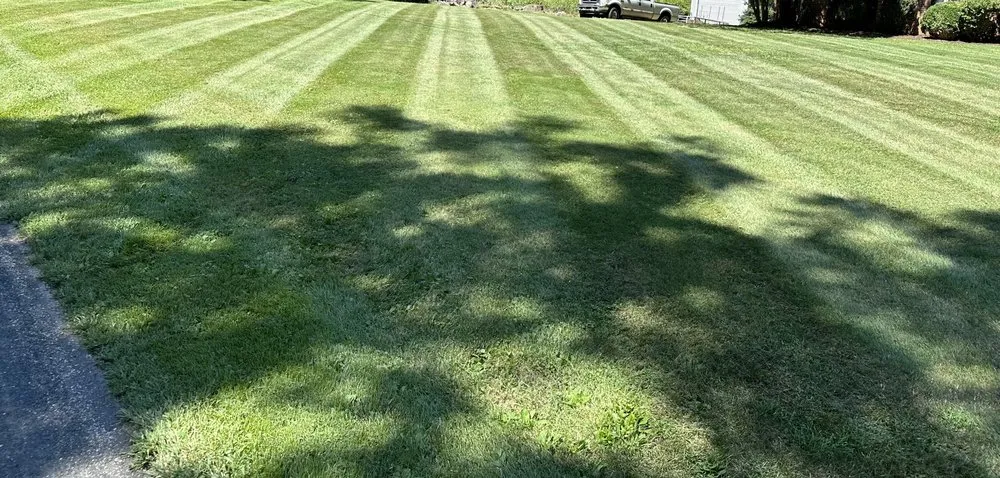 Local lawn care service for residential properties in Lynchburg, VA by Cut Masters