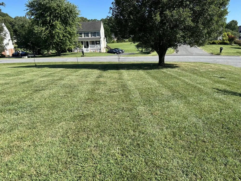 Professional lawn care service for beautiful yards in Lynchburg, VA by Cut Masters