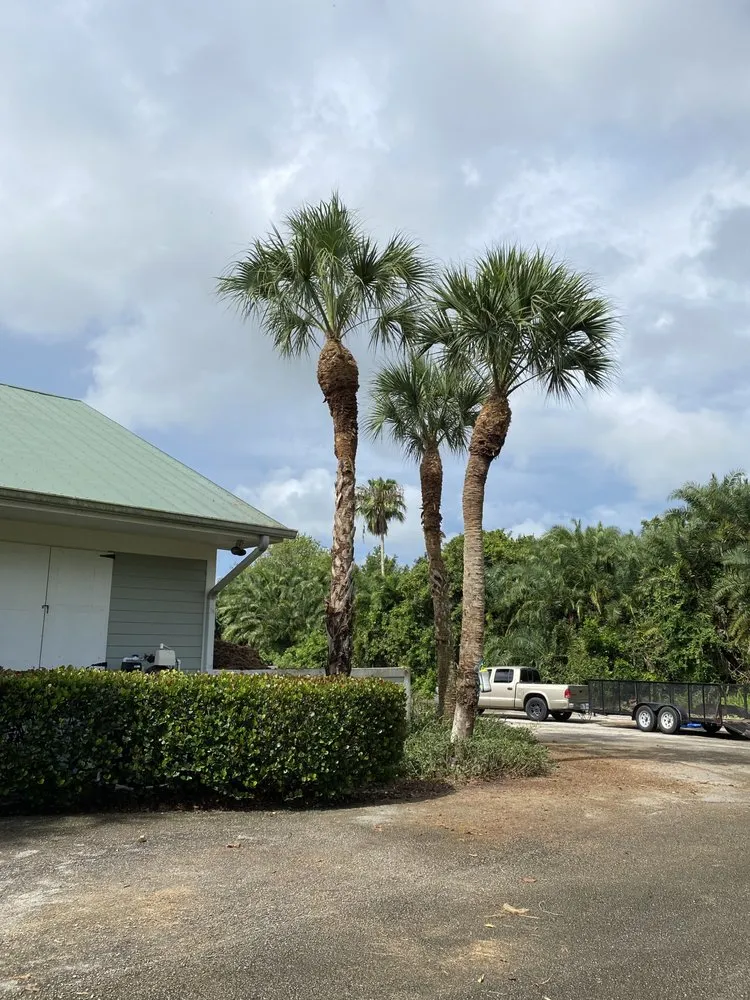 Affordable landscaping services in Stuart, FL - Cut Master’s