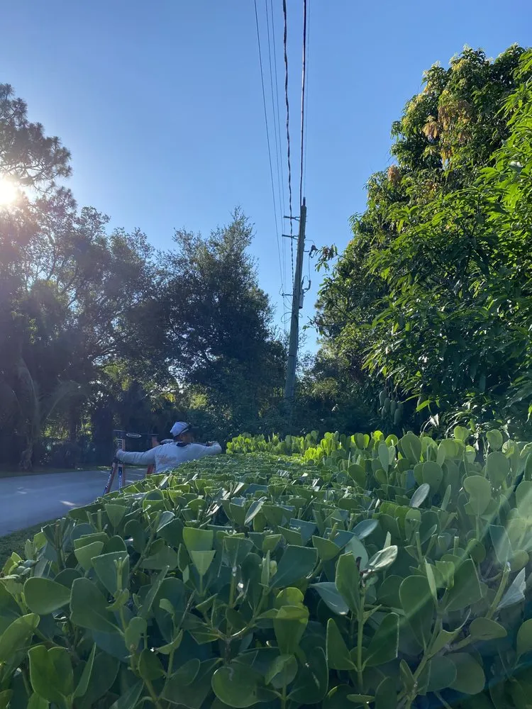 Affordable garden landscaping in Stuart, FL by Cut Master’s