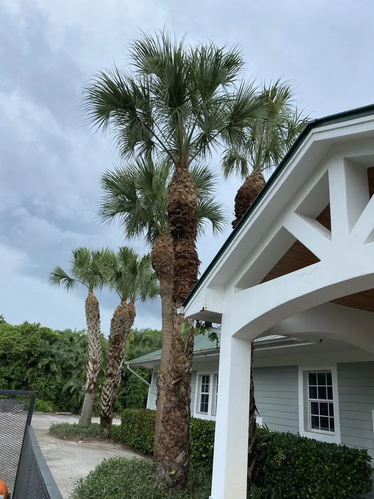 Reliable lawn care service for outdoor upgrades across Stuart, FL - Cut Master’s