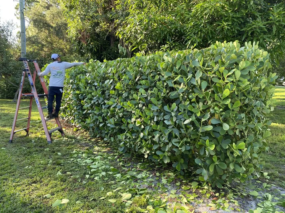 Reliable garden landscaping in Stuart, FL - Cut Master’s