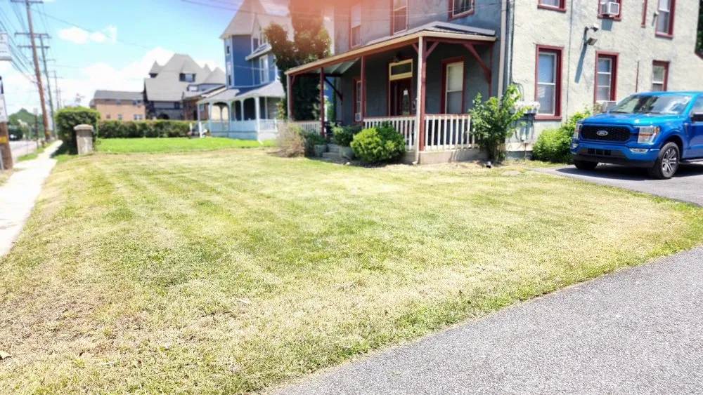 Affordable residential landscaping in Holmes, PA by Cut My Lawn