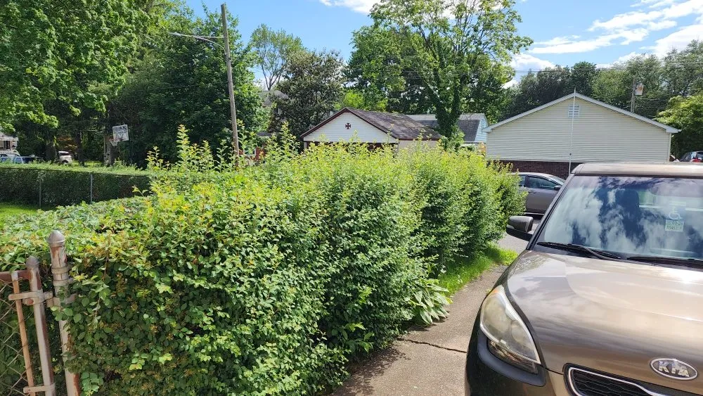 Top-rated yard maintenance experts serving Holmes, PA - Cut My Lawn