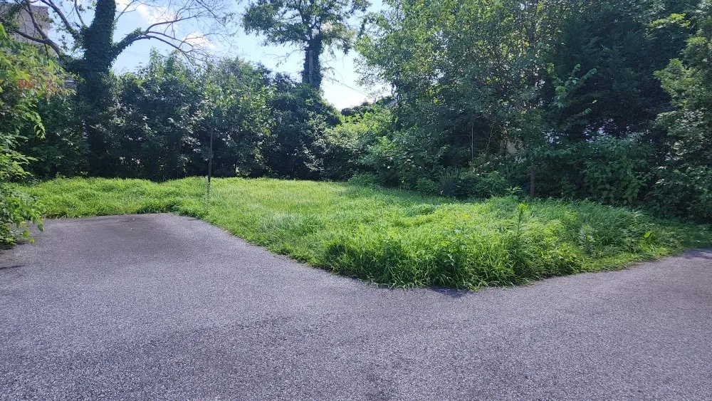 Reliable landscape design in Holmes, PA - Cut My Lawn