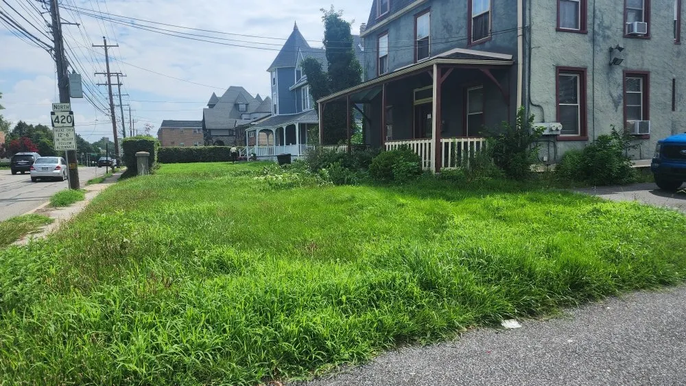 Reliable yard cleanup service in Holmes, PA by Cut My Lawn