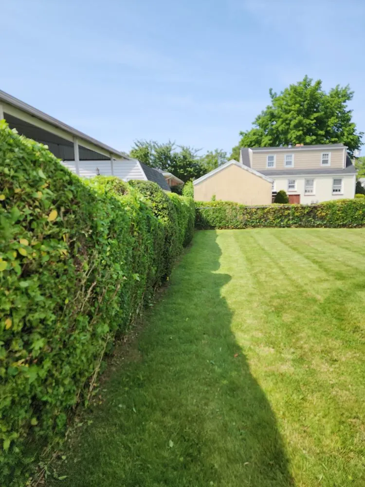 Trusted garden landscaping in Holmes, PA - Cut My Lawn