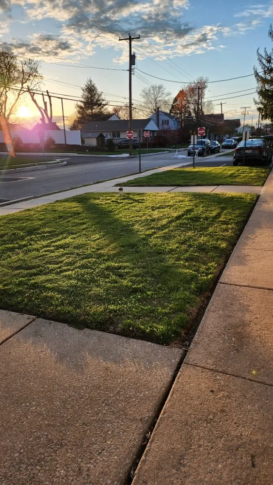 Top-rated landscape design experts serving Holmes, PA - Cut My Lawn