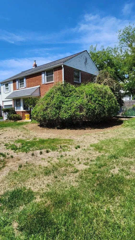 Affordable landscape design in Holmes, PA by Cut My Lawn