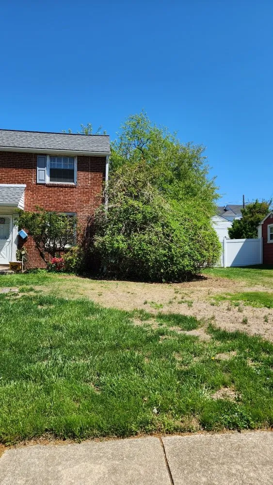 Expert lawn care service for residential properties in Holmes, PA by Cut My Lawn