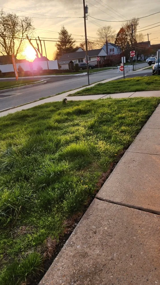 Trusted yard maintenance in Holmes, PA - Cut My Lawn
