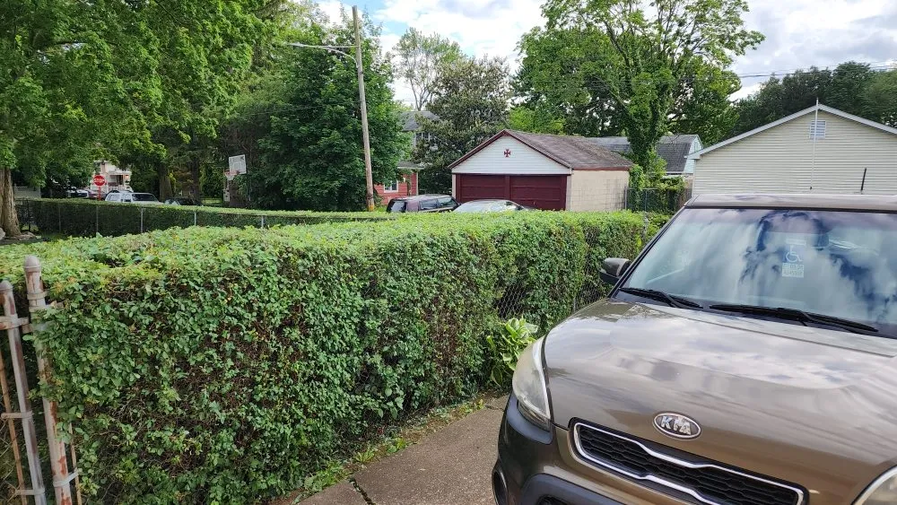 Custom lawn care service experts serving Holmes, PA - Cut My Lawn