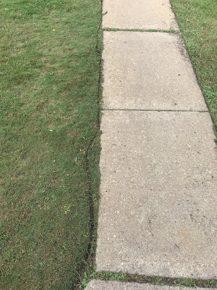 Top-rated lawn mowing service experts serving Wixom, MI - Cut N Care