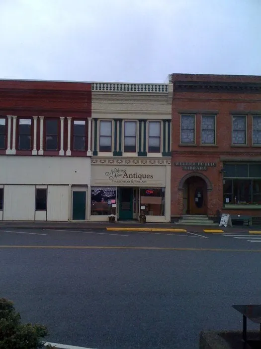 Local yard cleanup service for year-round maintenance across Wixom, MI - Cut N Care