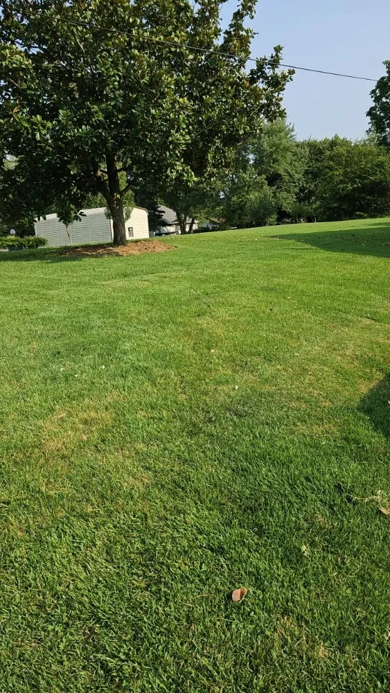 Local lawn care service experts serving Gallatin, TN - Cut N Clean