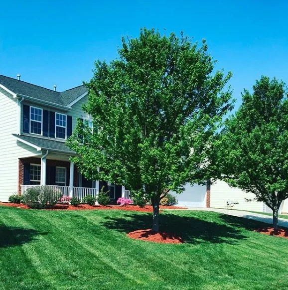 Local landscape installation in Greensboro, NC - Cut N Cruz