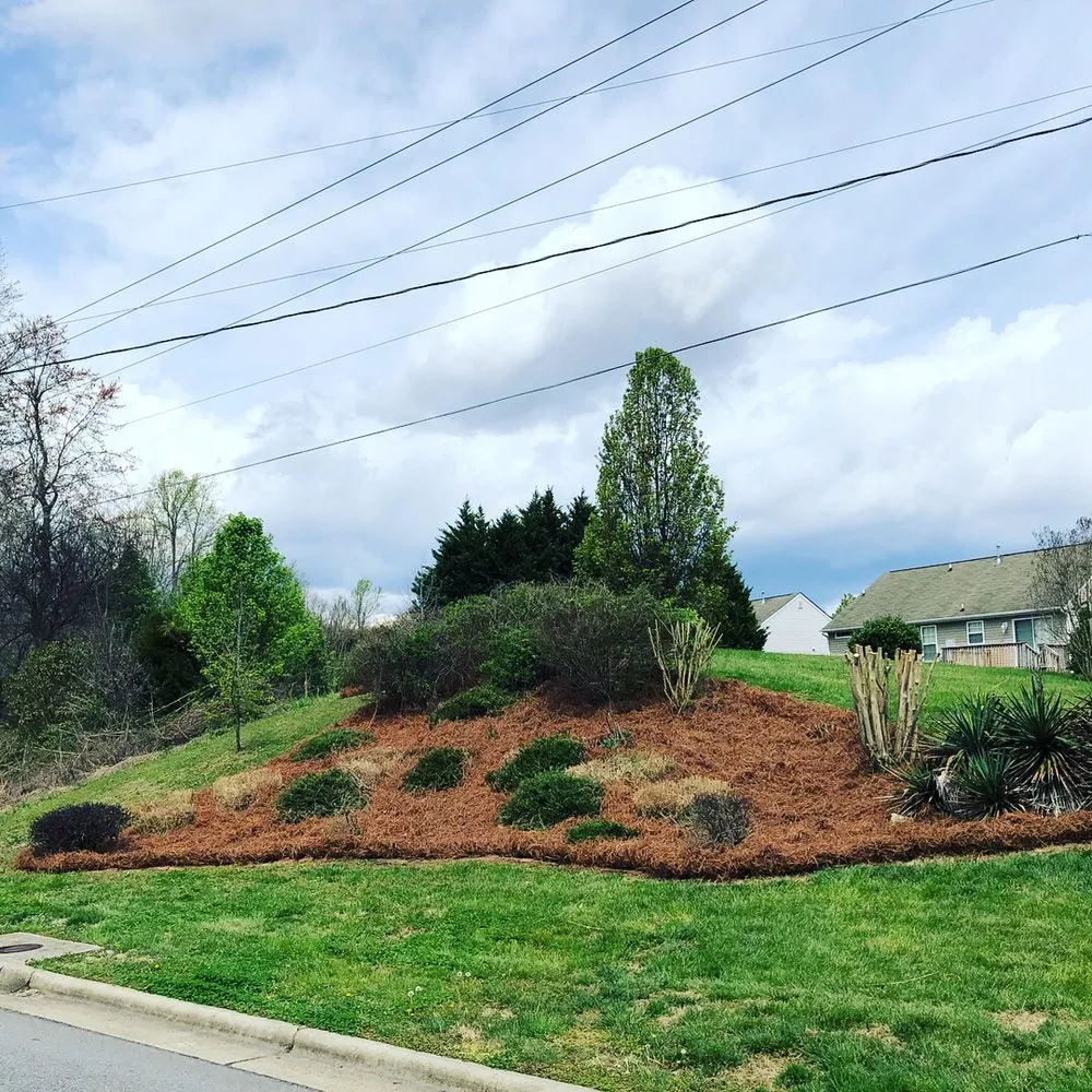 Reliable landscape design with custom design across Greensboro, NC - Cut N Cruz