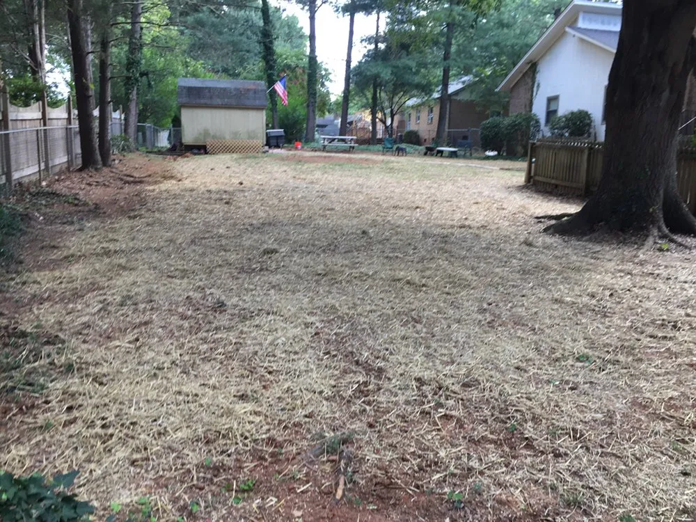 Reliable outdoor landscaping experts serving Greensboro, NC - Cut N Cruz