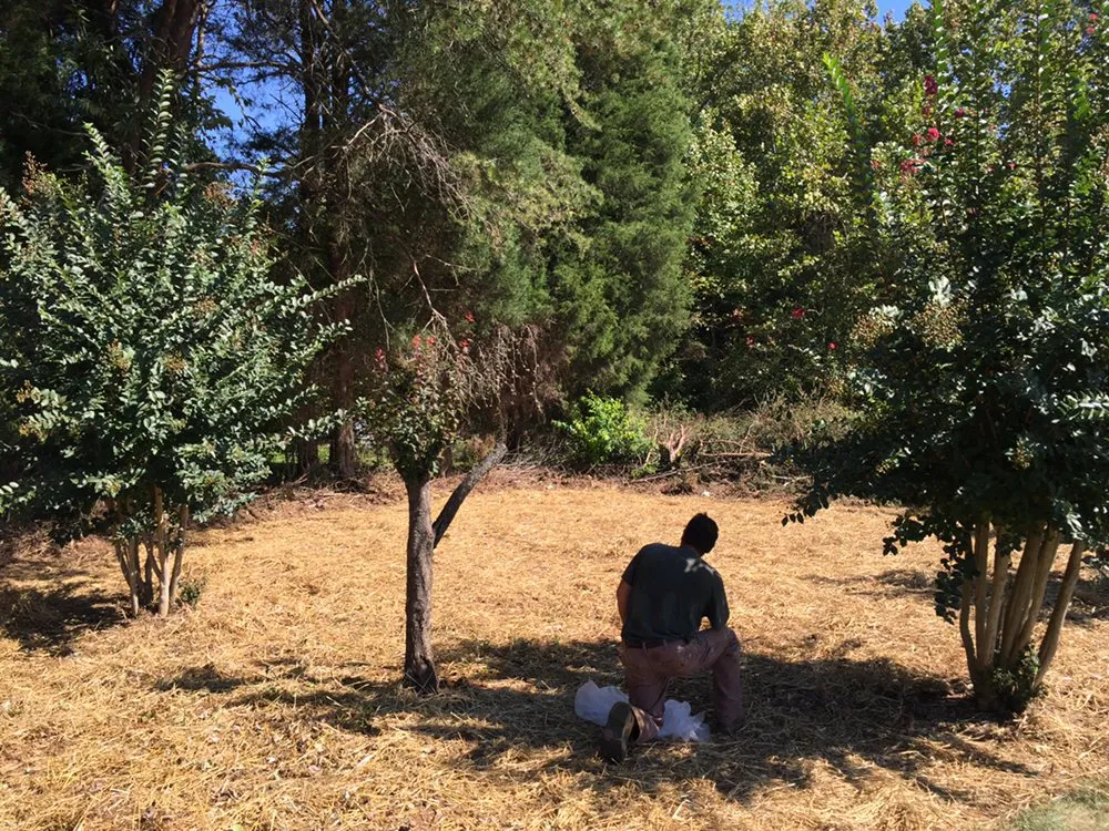 Trusted garden landscaping in Greensboro, NC by Cut N Cruz