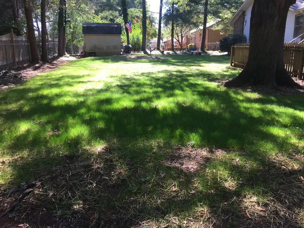 Trusted outdoor landscaping experts serving Greensboro, NC - Cut N Cruz