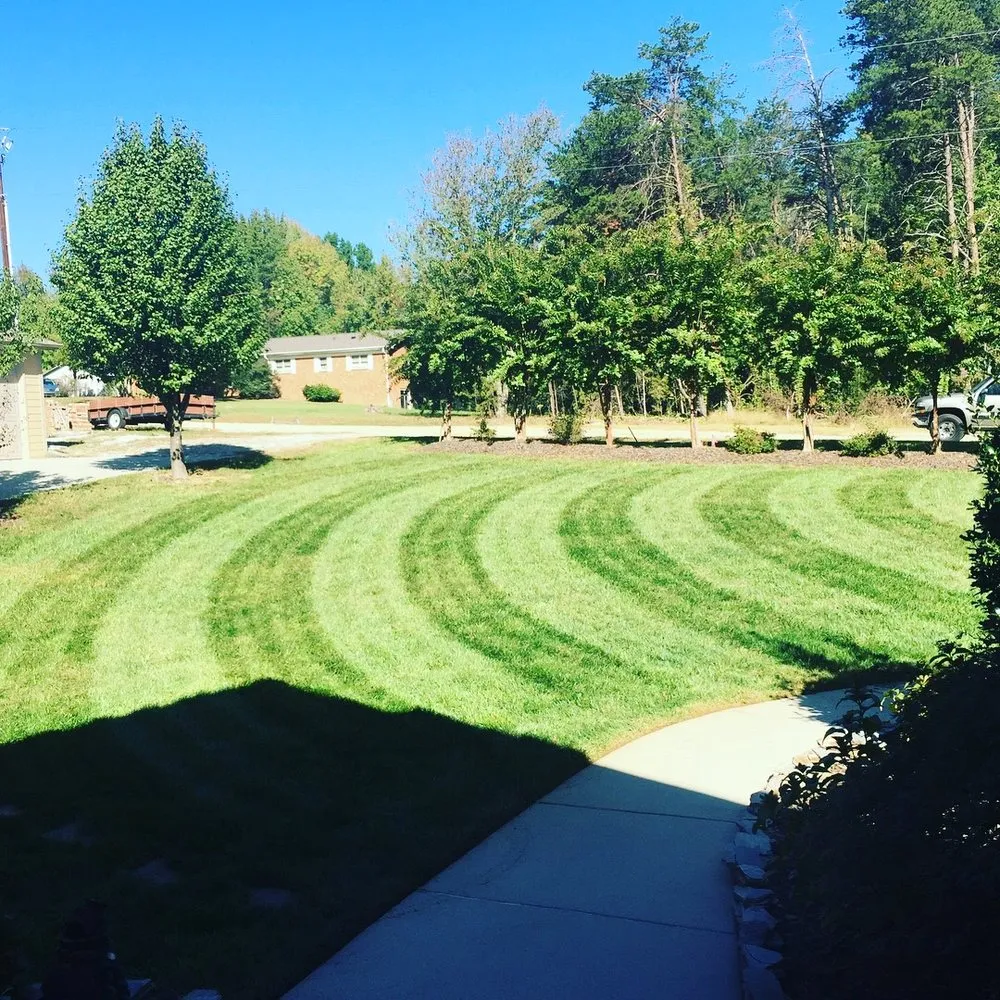 Professional landscape design in Greensboro, NC by Cut N Cruz