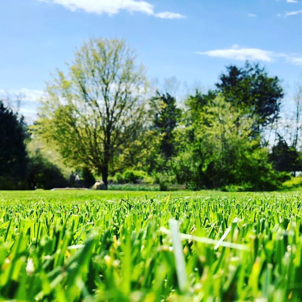 Custom lawn mowing service experts serving Greensboro, NC - Cut N Cruz