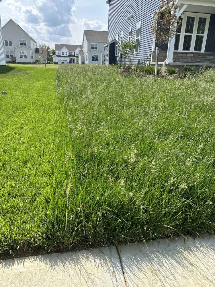 Local landscape design for beautiful yards in Delaware, OH by Cut N Edg Lawn Services