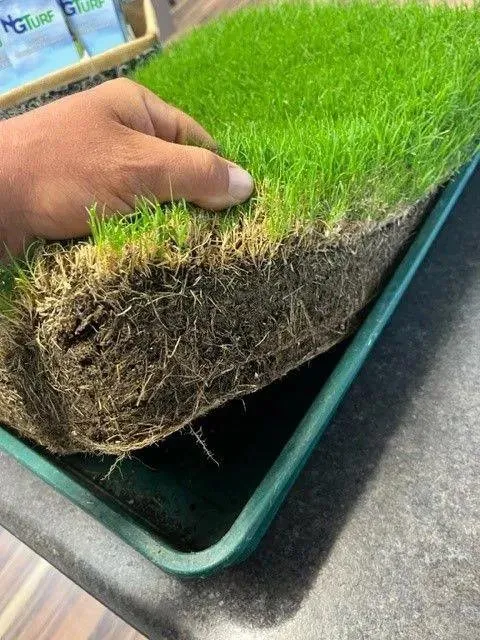 Trusted landscape installation experts serving Griffin, GA - Cut N' Edge