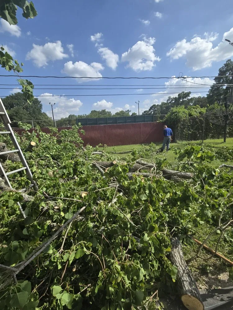 Top-rated landscaping services for year-round maintenance across Houston, TX - Cut-N-Edge