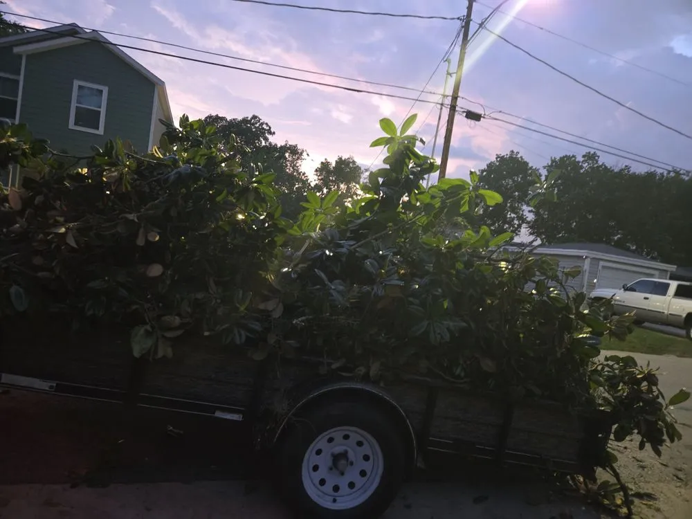 Trusted landscaping services in Houston, TX - Cut-N-Edge