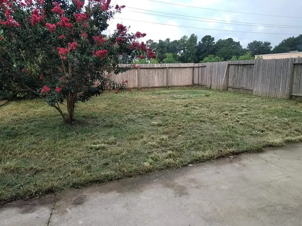 Trusted residential landscaping experts serving Houston, TX - Cut-N-Edge