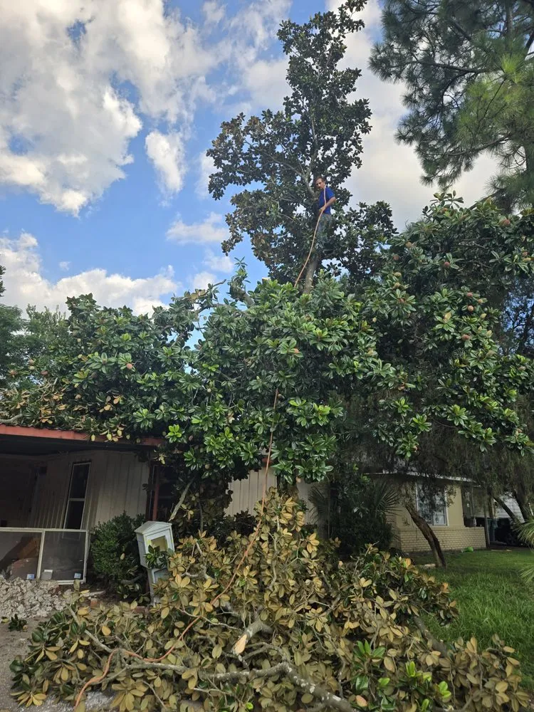 Affordable outdoor landscaping for year-round maintenance in Houston, TX by Cut-N-Edge