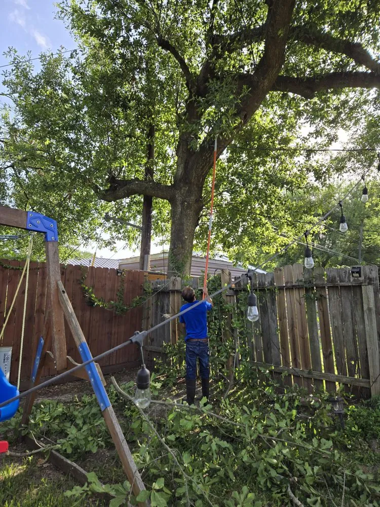 Trusted lawn mowing service with custom design across Houston, TX - Cut-N-Edge