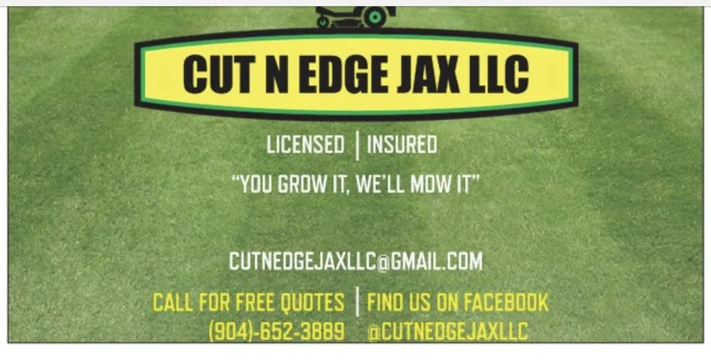 Trusted yard cleanup service in Jacksonville, FL - Cut N Edge Jax
