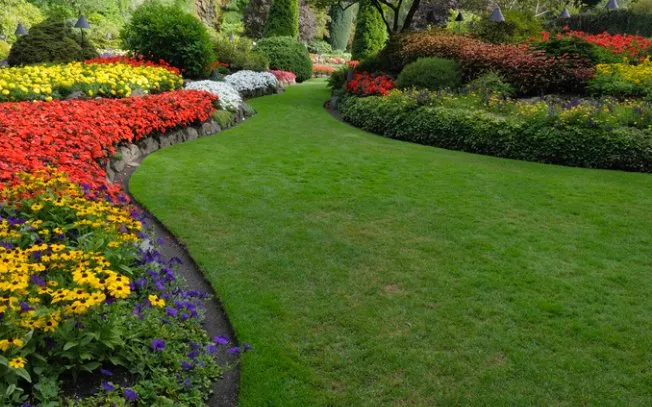 Top-rated yard cleanup service for outdoor upgrades across Douglasville, GA - Cut N Edge Lawn Service