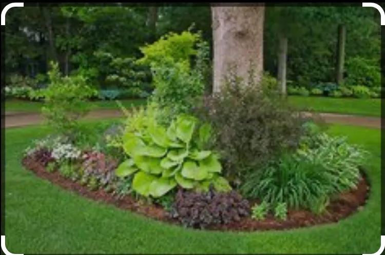 Professional landscape installation in Douglasville, GA - Cut N Edge Lawn Service