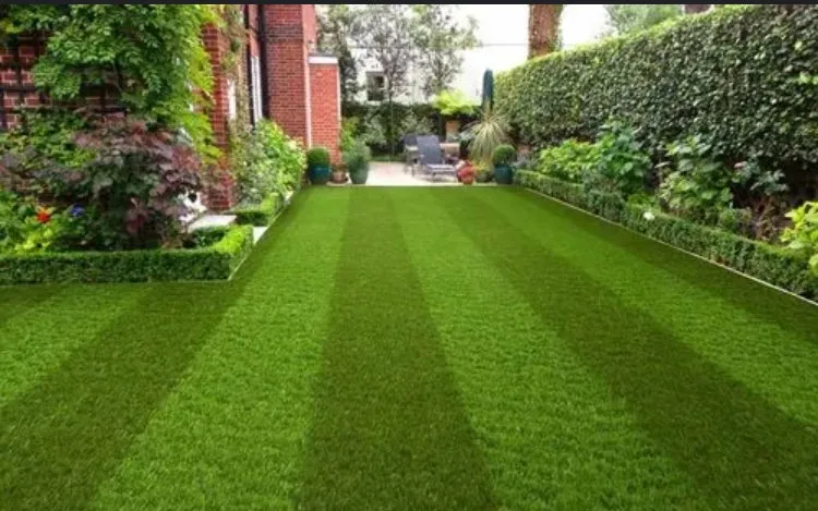 Top-rated lawn care service with custom design across Douglasville, GA - Cut N Edge Lawn Service