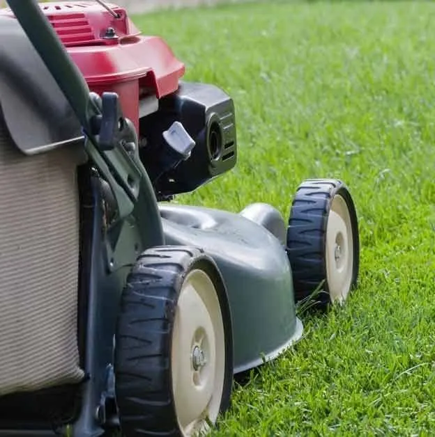 Expert lawn mowing service experts serving Central Point, OR - Cut N Go Lawn Care & Handyman Service