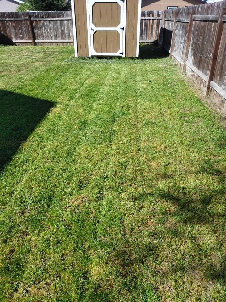 Top-rated residential landscaping in Central Point, OR - Cut N Go Lawn Care & Handyman Service