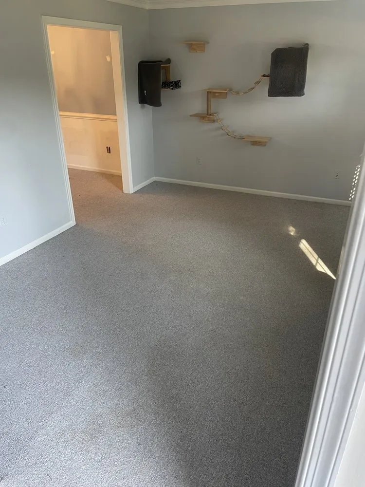 Affordable lawn care service in Hopewell, VA - Cut N Go Lawncare