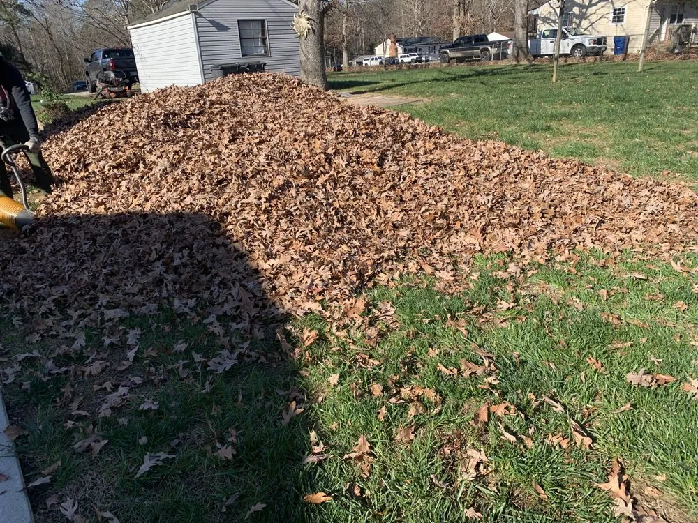 Local lawn care service near you in Hopewell, VA by Cut N Go Lawncare