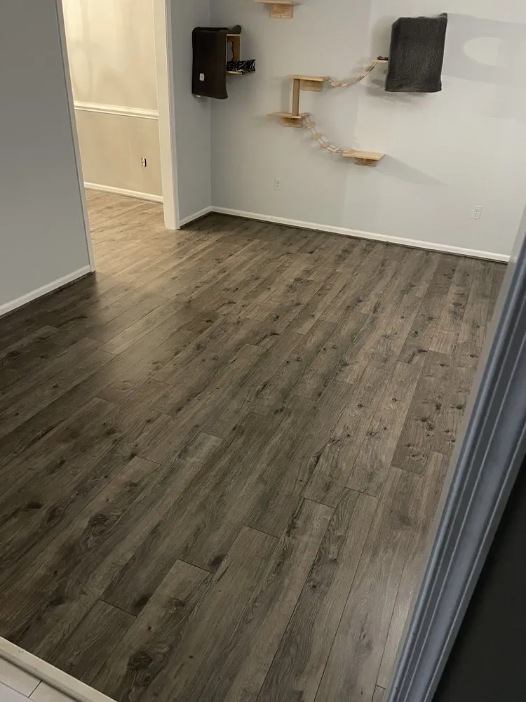 Top-rated yard cleanup service for year-round maintenance across Hopewell, VA - Cut N Go Lawncare