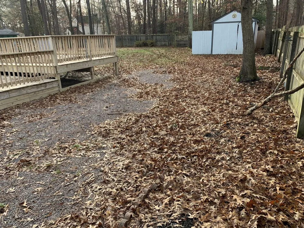 Professional lawn care service for year-round maintenance in Hopewell, VA by Cut N Go Lawncare